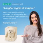 Hoppsy image