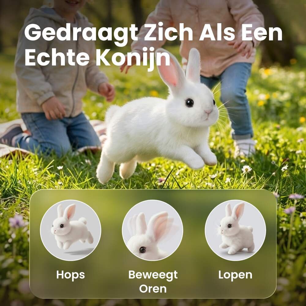 Hoppsy image
