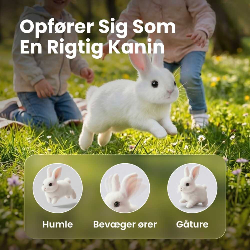 Hoppsy image