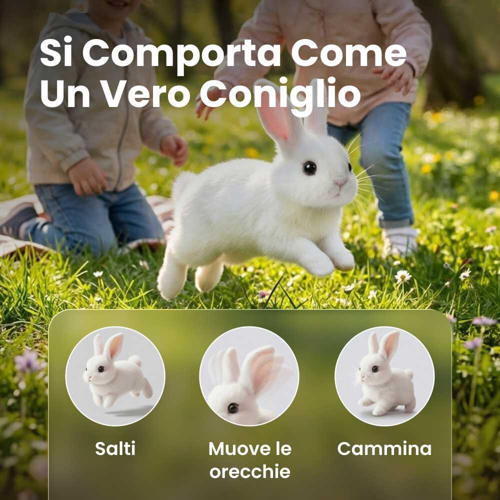 Hoppsy image