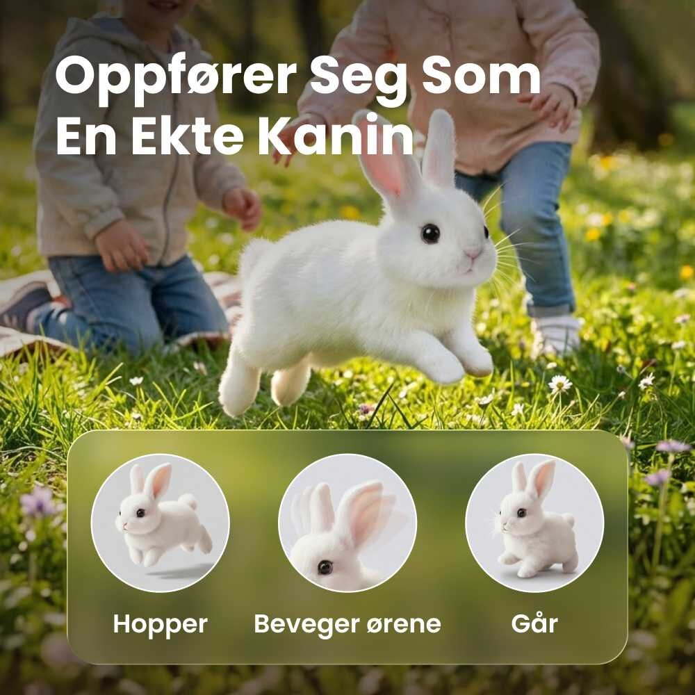 Hoppsy image