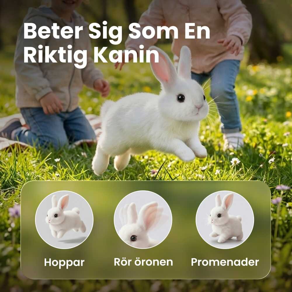 Hoppsy image