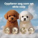 Hoppsy image