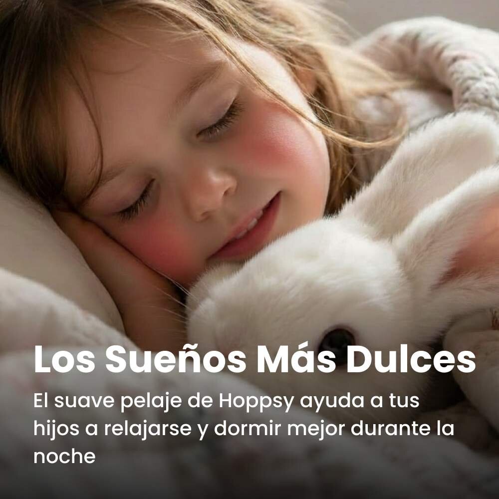 Hoppsy image